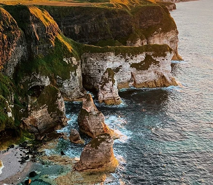 Viero Bridal in White House Bridal 1